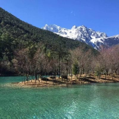 Rahim Pardesi avatar